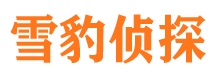 漳平市婚姻调查